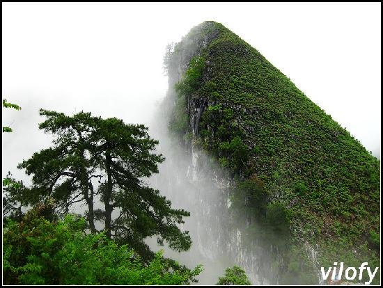 Photos of Dashiwei Tiankeng Group National Geopark