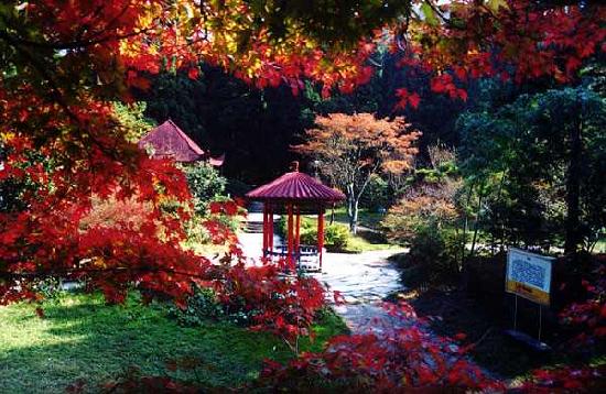 Photos of Huajing Park of Jiujiang