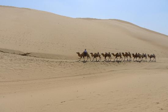 Photos of Kubuqi Desert