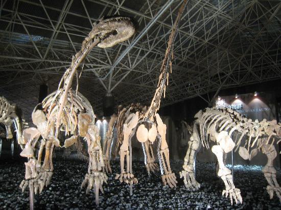 Photos of Lufeng Dinosaur Valley