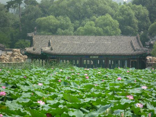 Photos of Museum of Summer Resort