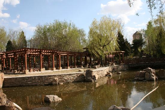 Photos of Shenyang Zhongshan Park