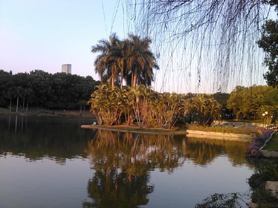 Photos of Shenzhen University