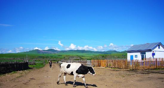 Photos of Shiwei Russia Nationality Township