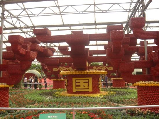 Photos of Shouguang Hi-Tech Vegetable Demonstration Garden