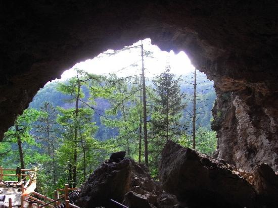 Photos of Underground Forest of Jingpo Lake