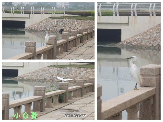 Photos of Xiamen Bailuzhou Park