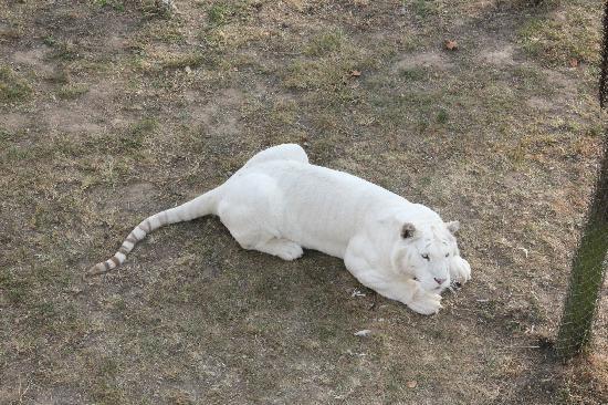 Photos of Xixiakou Zoo