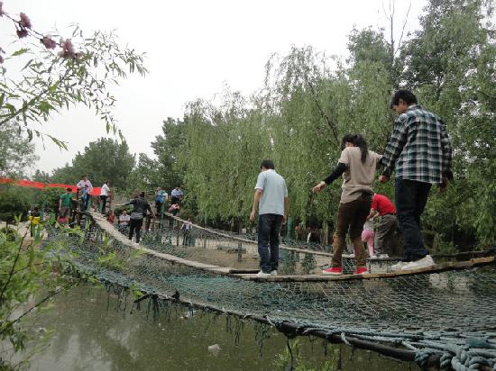 Photos of Zhengzhou Forest Park